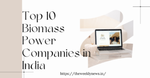 Top 10 Biomass Power Companies in India