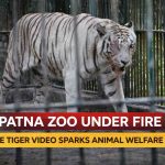 patna-zoo